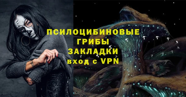 ПСИЛОЦИБИНОВЫЕ ГРИБЫ Балахна