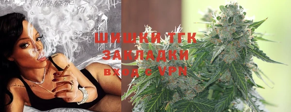 ПСИЛОЦИБИНОВЫЕ ГРИБЫ Балахна