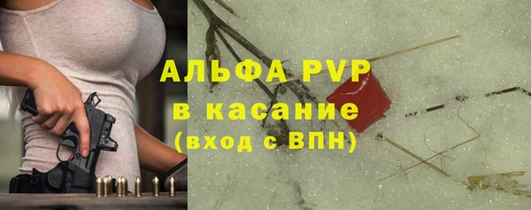 PSILOCYBIN Балабаново