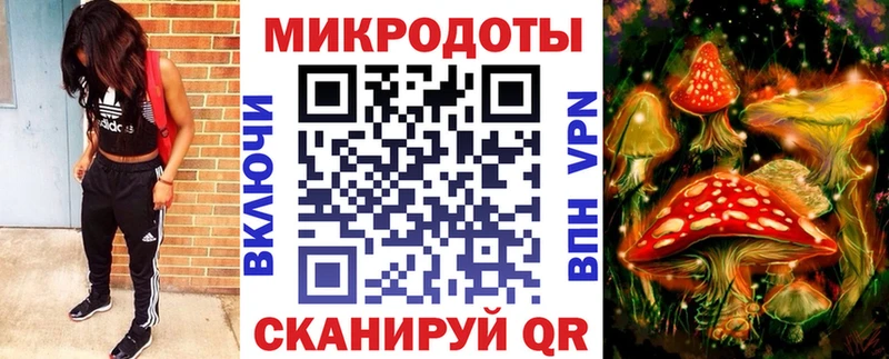 Галлюциногенные грибы Psilocybine cubensis  Купить закладки  Бежецк 